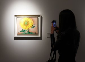 Feds, non-profit partner to promote American art at U.S. embassies