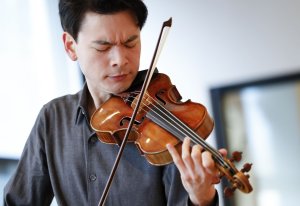 Musicians warn of crisis as Brazil eyes Pernambuco wood ban