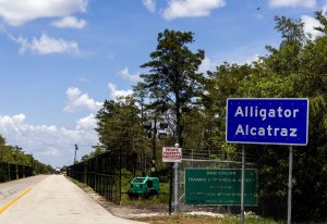Reports: All detainees to be removed from 'Alligator Alcatraz' in days