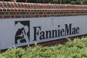 Reports: Trump considers stock IPO for Fannie Mae, Freddie Mac
