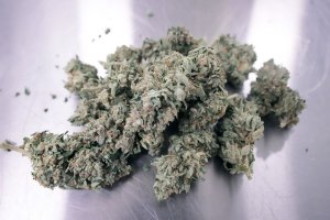 Trump might hasten marijuana reclassification
