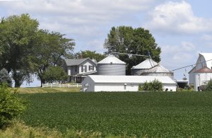 Trump urges China to buy more U.S. soybeans amid shortage