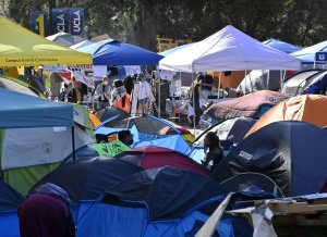 UCLA Faces $300M Federal Grant Freeze Over Bias Claims