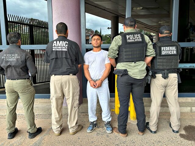 Immigration and Customs Enforcement