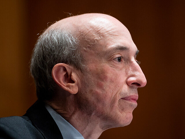 Title: Senate SEC Image ID: 21257532151678 Article: Securities and Exchange Commission, Ch