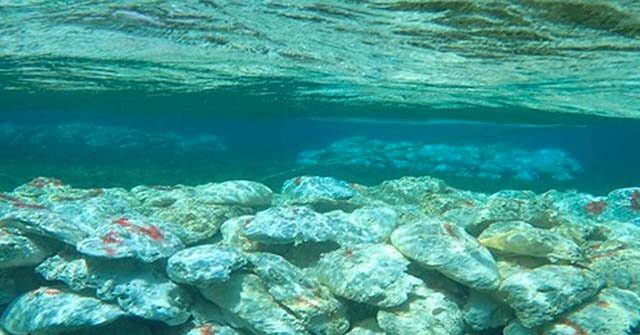 China Approves Huangyan Island Coral Reef Nature Reserve in Disputed South China Sea