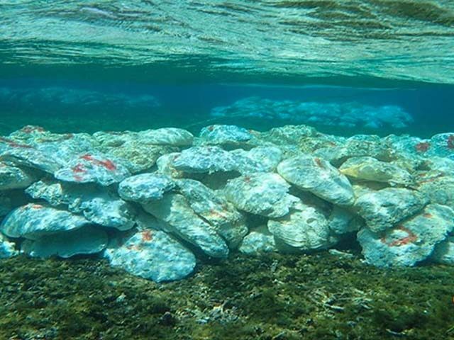 AP24141398889454 Title: Philippines China Disputed Shoal Image ID: 24141398889454 Article: This February 2