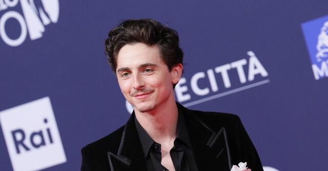 AI Chatbots of Celebrities Like Timothee Chalamet Had Sexual Conversations with Teens