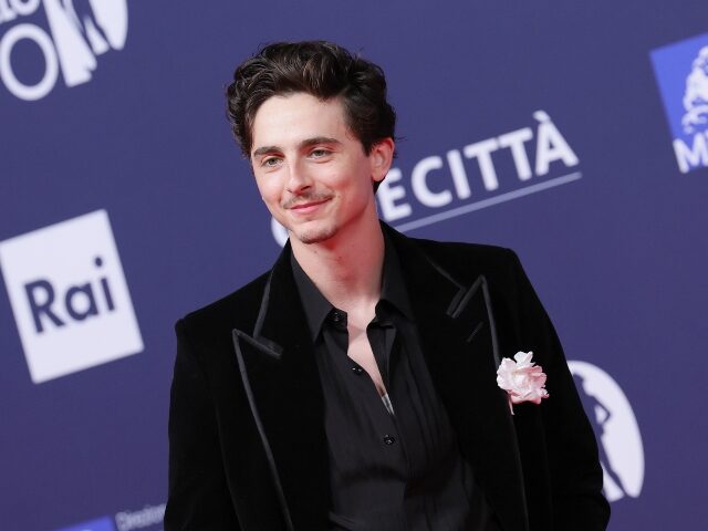 Actor Timothee Chalamet copied by AI