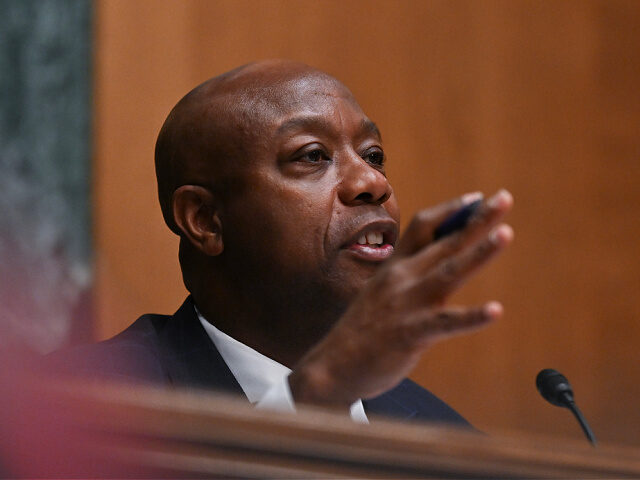 Chairman-Sen-Tim-Scott-R-SC-fileFeb2025-getty WASHINGTON, DC - FEBRUARY 27: Chairman Sen. Tim Scott (R-S.C.) questions the nominees duri