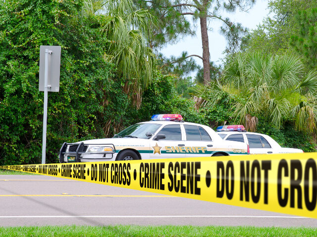 Crime scene park, wooded area