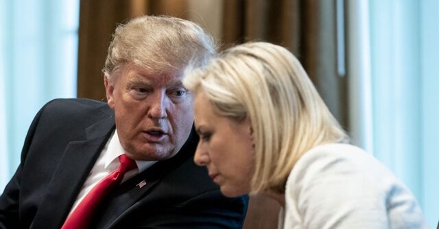 Former DHS Spox Explains How Fmr Sec’y Nielsen, ‘Anonymous’ Miles Taylor Worked Against Trump from Within