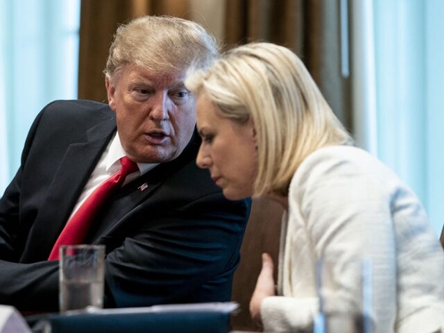 Former DHS Spox Explains How Fmr Sec’y Nielsen, ‘Anonymous’ Miles Taylor Worked Against Trump