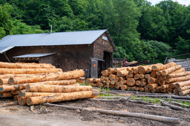 Clifford Lumber In Hinesburg, Vermont HINESBURG, VERMONT - JUNE 18: Hemlock logs are stacked June 18, 2024 outside the sawmill a