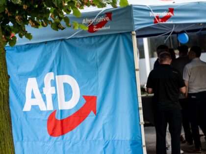 Seven AfD Candidates Die Ahead of Local German Elections