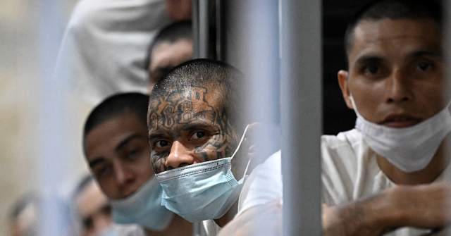 Divided Fifth Circuit Blocks Trump's Use of Alien Enemies Act for Deportations