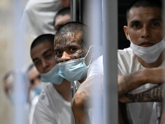 GettyImages-2207967375 Inmates remain in their cell as Costa Rica's Minister of Security Gerald Campos tours the