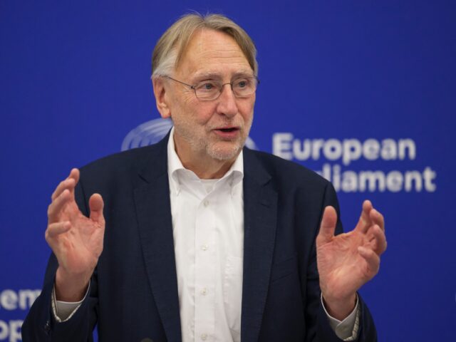 German Member of European Parliament, S&D group and Chair of the International Trade Commi