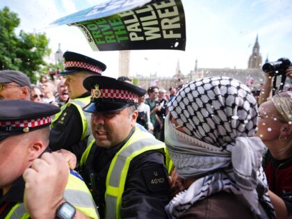 Police officers with demonstrators as People take part in a Lift the Ban on Palestine Acti