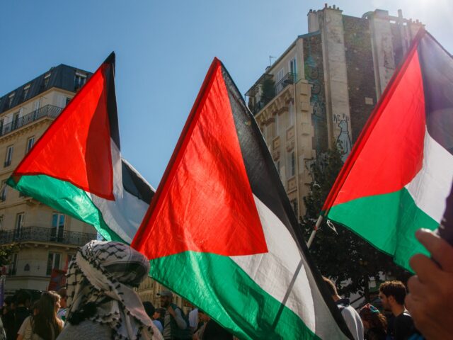 Palestinian flags, in the procession of the inter-union demonstration, in Paris, France on