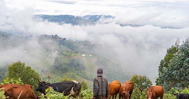 Fragile Congo Peace Rocked by War Crimes and Property Theft Accusations