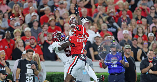 WATCH: Fans Brawl During Alabama vs. Georgia Football Game