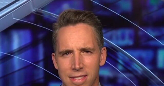 Hawley on 'Insane Rhetoric' from Democrats: 'I Don't Know if They Really Believe It'