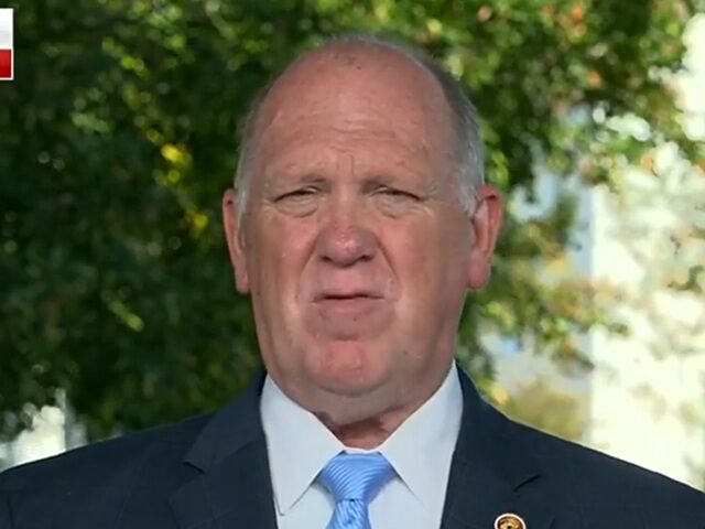 Homan: ‘Damn Straight’ We’re Targeting Sanctuary Cities