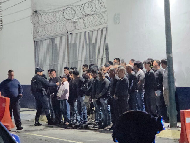 Michoacan Raid Main Credit: Breitbart News Foundation / Cartel Chronicles