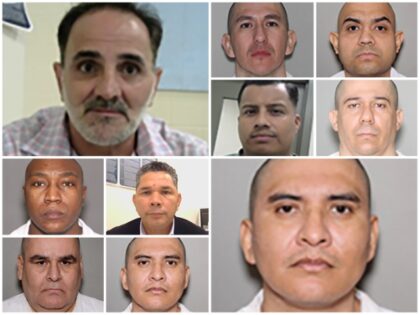 ICE Houston Arrests 822 Criminal Aliens in Weeklong Sweep—Gang Members, Child Predators