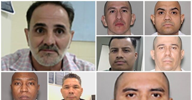 ICE Houston Arrests 822 Criminal Aliens in Weeklong Sweep—Gang Members, Child Predators Among Those Nabbed