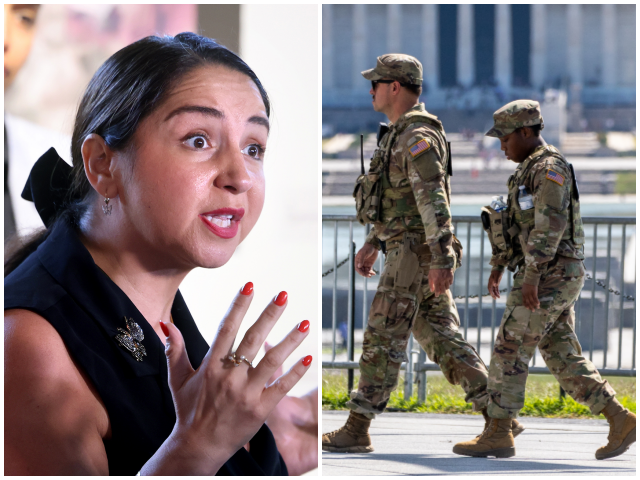 Democrat Delia Ramirez: National Guard Is Helping ‘Facilitate the Disappearance of Our Neighb