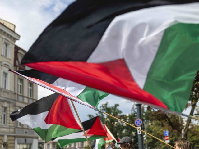 Palestinian flag (Mindaugas Kulbis / Associated Press) Protesters hold Palestinian flags and placards in Vilnius, Lithuania, Monday, Aug. 4, 2025