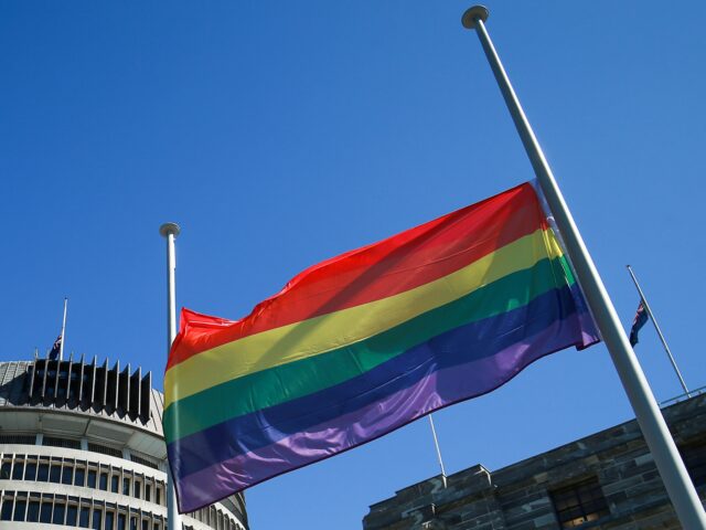Rainbow flag half mast (Hagen Hopkins/Getty) WELLINGTON, NEW ZEALAND - MARCH 18: A rainbow flag flies at half mast at the Parliament on