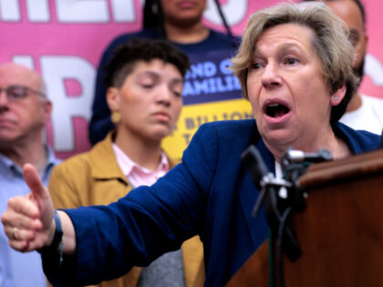 American Federation of Teachers President Randi Weingarten joins Democrats during a rally