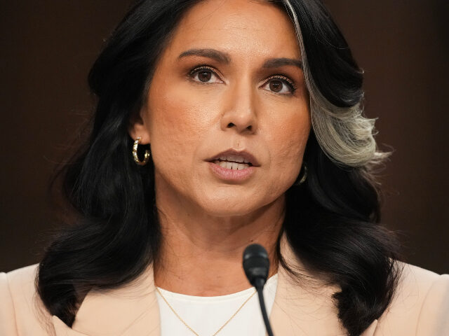 Director of National Intelligence Tulsi Gabbard appears during a Senate Committee on Intel