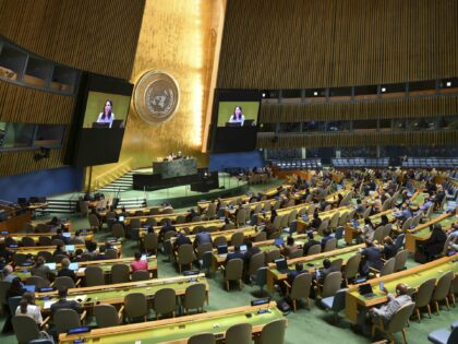 Former German Foreign Minister and President of the 80th session of the United Nations Gen