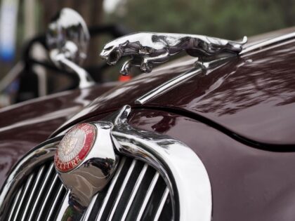 Vintage Jaguar