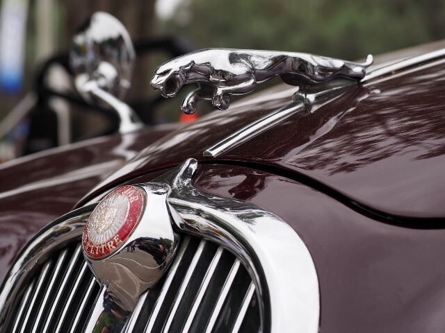 Vintage Jaguar