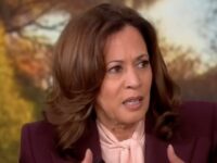 Kamala Harris: ‘Petty’ Trump Committing ‘Frontal Attack’ on Rule of Law