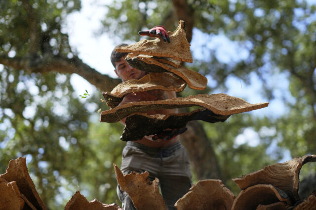 Tariffs Cork Portugal The Associated Press