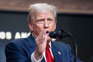 Federal Appeals Court Reinstates Trump-Fired Copyright Official