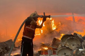 Genocide scholars association accuses Israel of genocide in Gaza