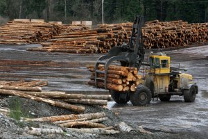 Trump sets new tariffs on lumber, cabinets, furniture imports