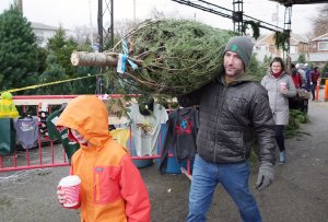 Wholesale prices for Christmas trees are holiday gift for consumers