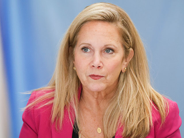 AP24298767169770 Title: Election 2024 New York House Image ID: 24298767169770 Article: Laura Gillen, Democr