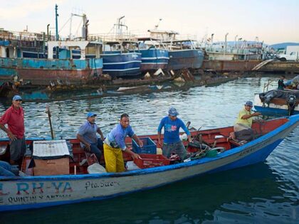 Title: Venezuela Fishing Community Image ID: 25262478941043 Article: Fishermen arrive at t
