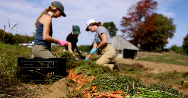 Rep. Ronny Jackson: Democrats ‘Actively Sabotaging America’s Farmers’ in Their Shutdown