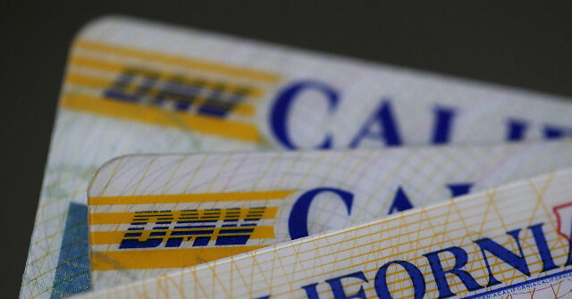 Officials: Illegal Migrants Got 18-Wheeler Licenses with 'No Name Given'