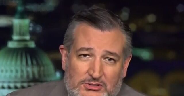 Cruz: Shutdown Driven by Democrat Desire for Free Health Care for Illegals, Schumer’s ‘Political Crisis’